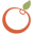 npchk.info-logo